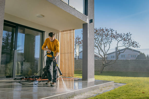 Best Gutter Cleaning  in Dickinson, ND